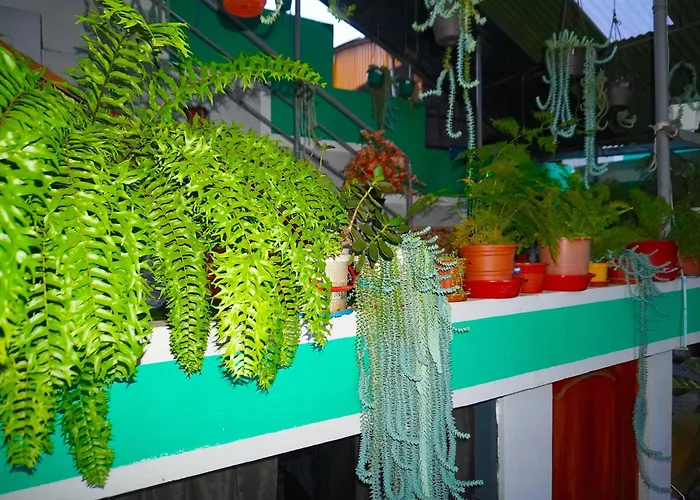 Comodo Con Jardin Y Bano Privado-echarati Homestay Echarate